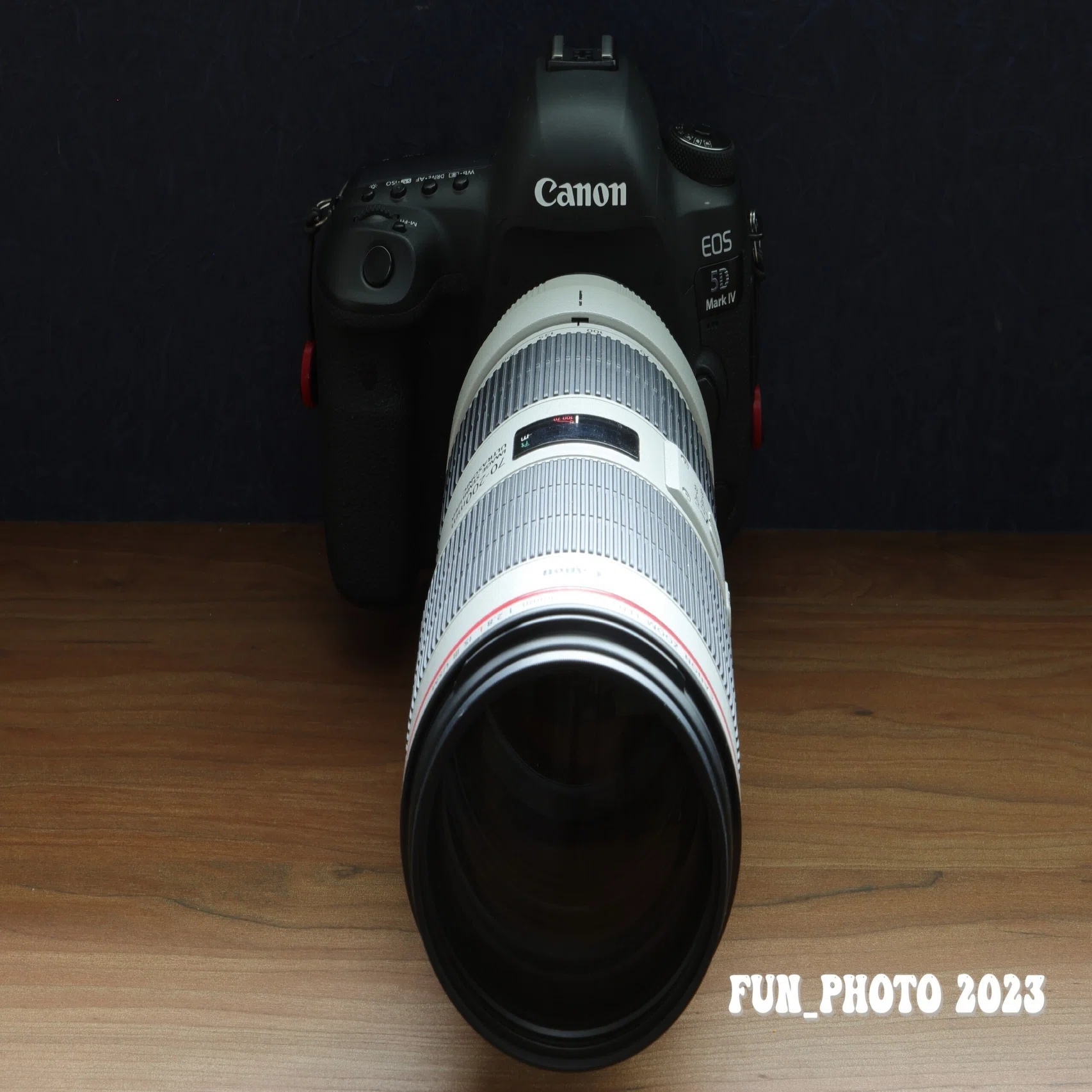 EF70-200mm F2.8L IS III USMと5DMarkⅣの組み合わせの雑感｜fun_photo