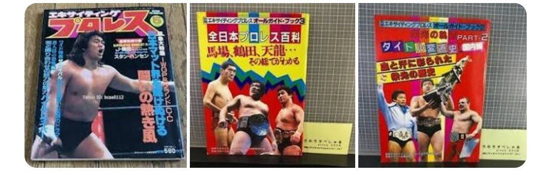 プロレスブームに便乗して誕生した雑誌｜イノスケの