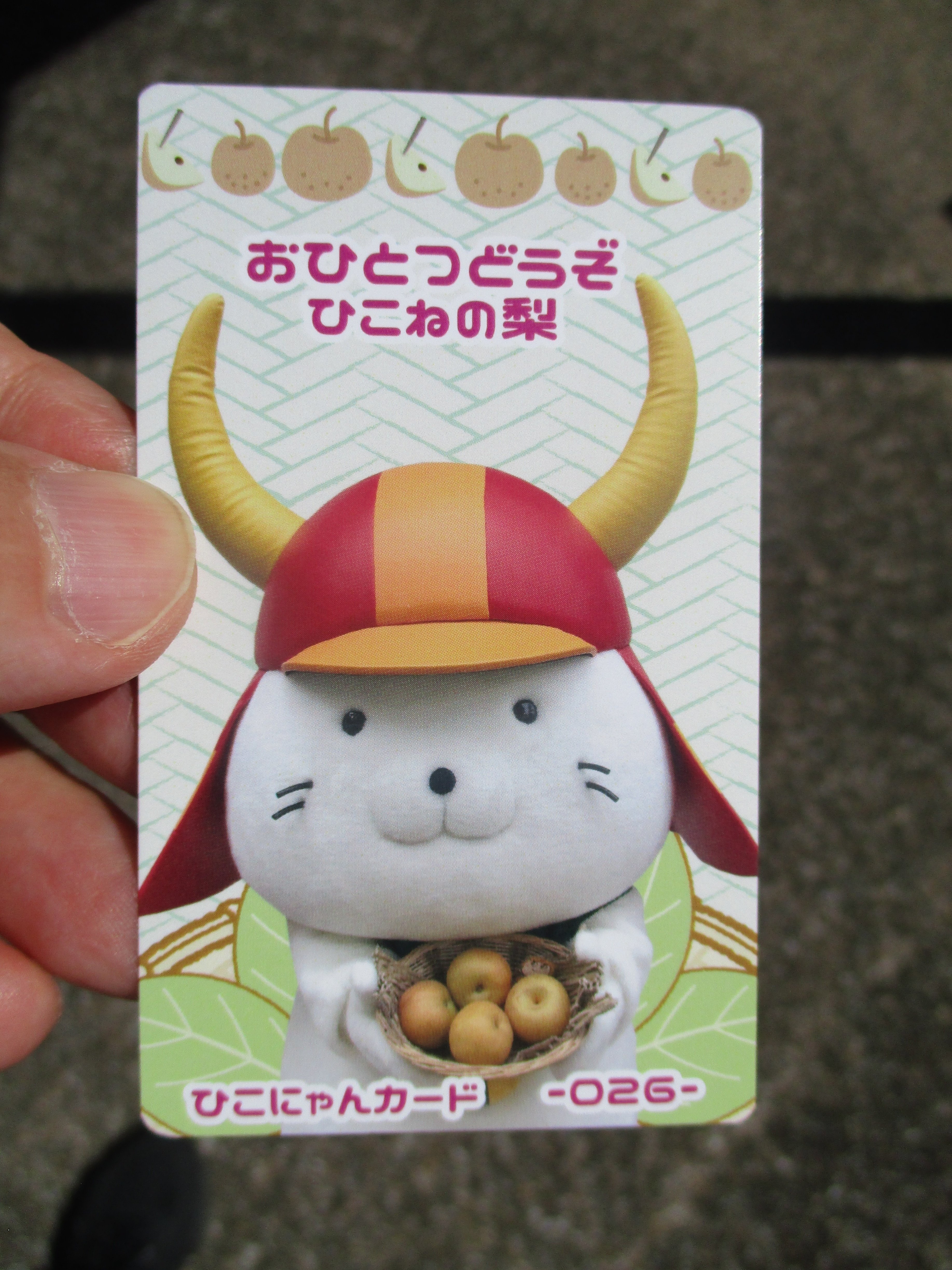 ひこにゃんにも会いたい～ 四番町スクエア散策記【滋賀・彦根市観光