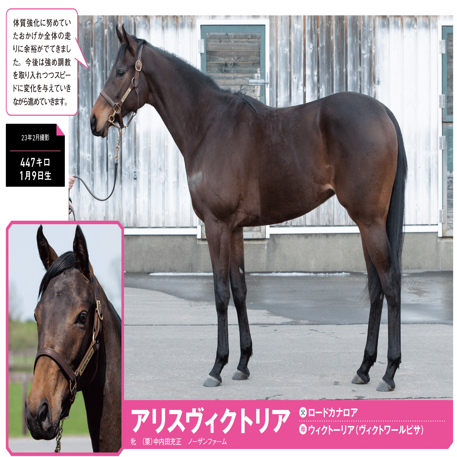 9/30-10/1】一口クラブPOG通信｜馬券攻略雑誌『競馬王』