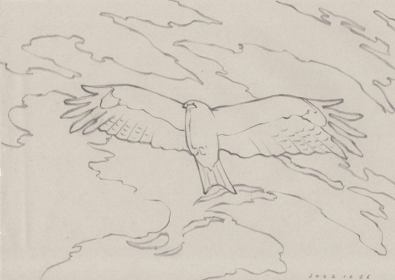 芸術家、絵本作家であるミヤタタカシの鉛筆による鳥のスケッチ