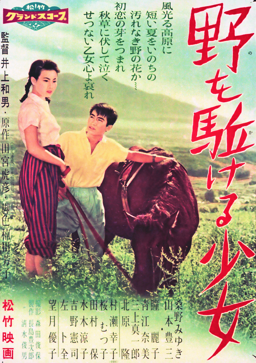 花の折鶴笠 映画ポスター 総天然色 当時物 その他