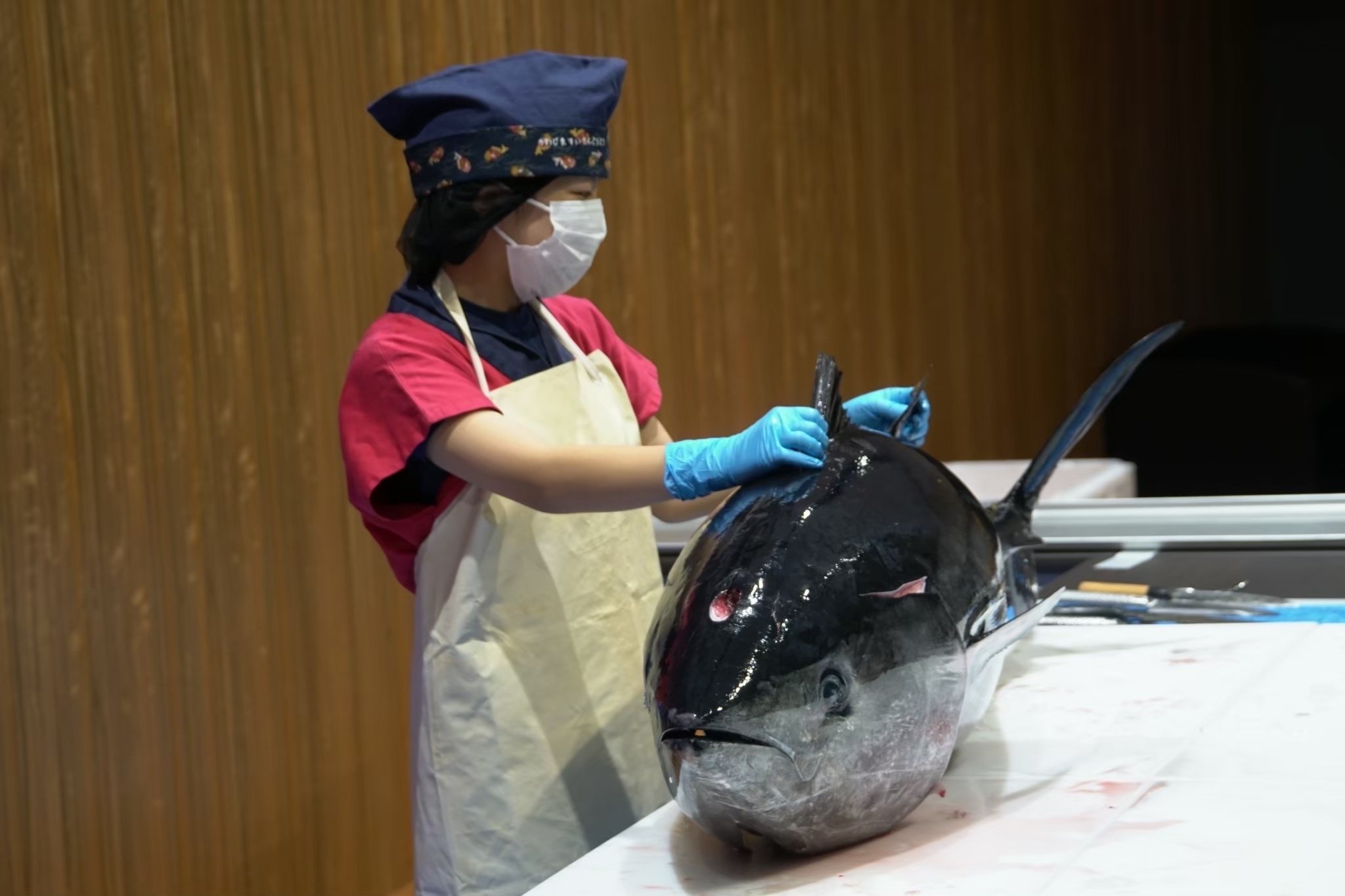 ゲーセンで女の子から貰った魚 マグロの解体をする謎の女子高生集団「フィッシュガール」とは