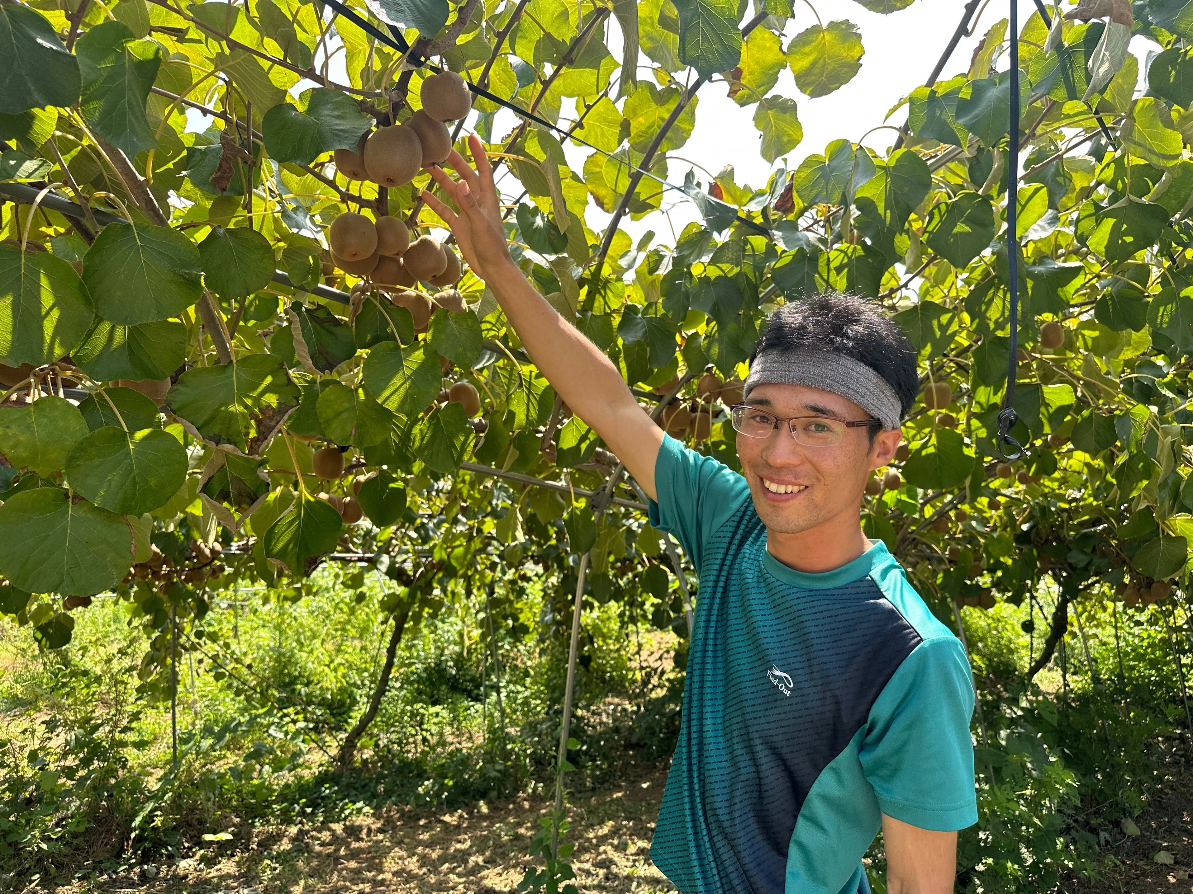 I went to a fig harvesting experience! A refreshing time in the