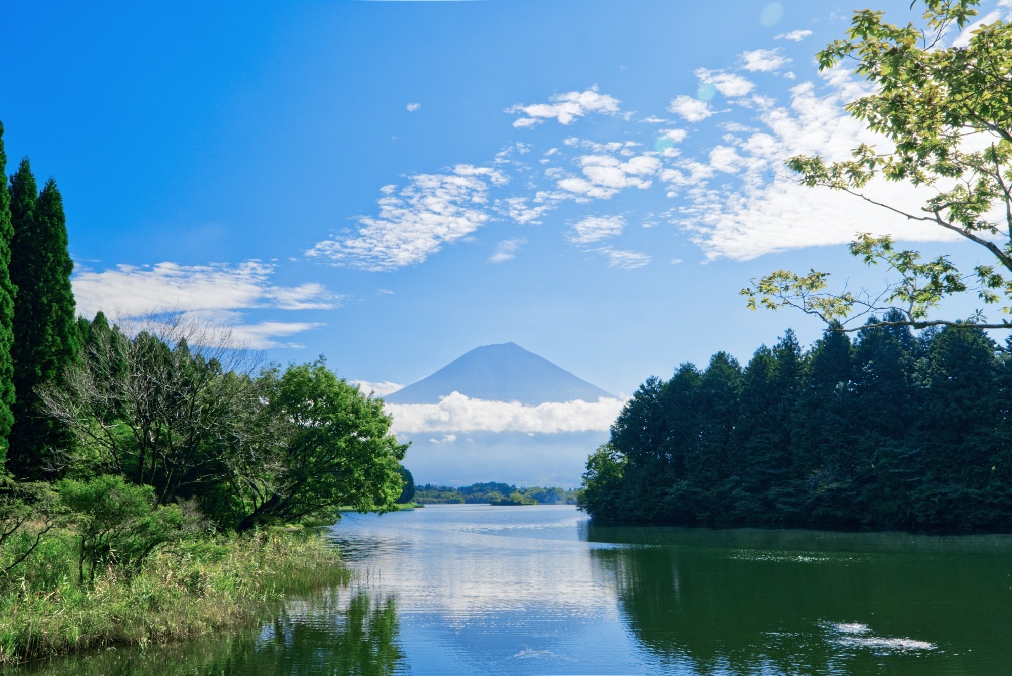 高見朝蒼 大富士 ダイヤモンド富士 2025.03.30「富士宮市 朝霧高原」富士山写真道楽