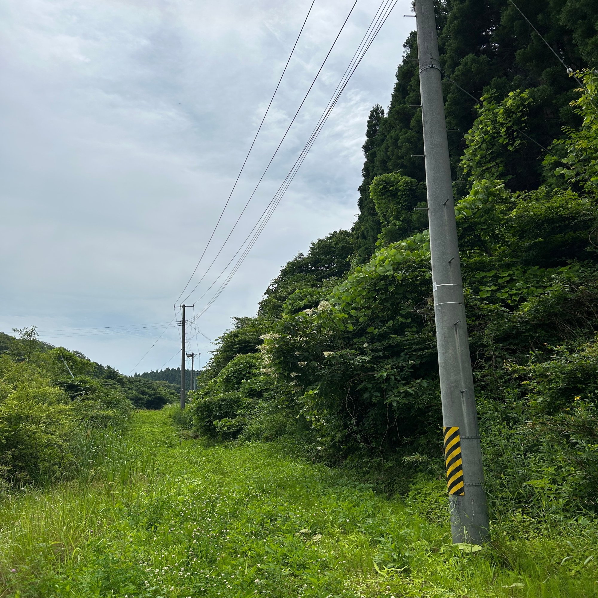 コラボインタビュー】電柱の管理業務の効率化に向けて、TEKKONで実証実験！東北電力ネットワーク様｜全力TEKKONタイムズ