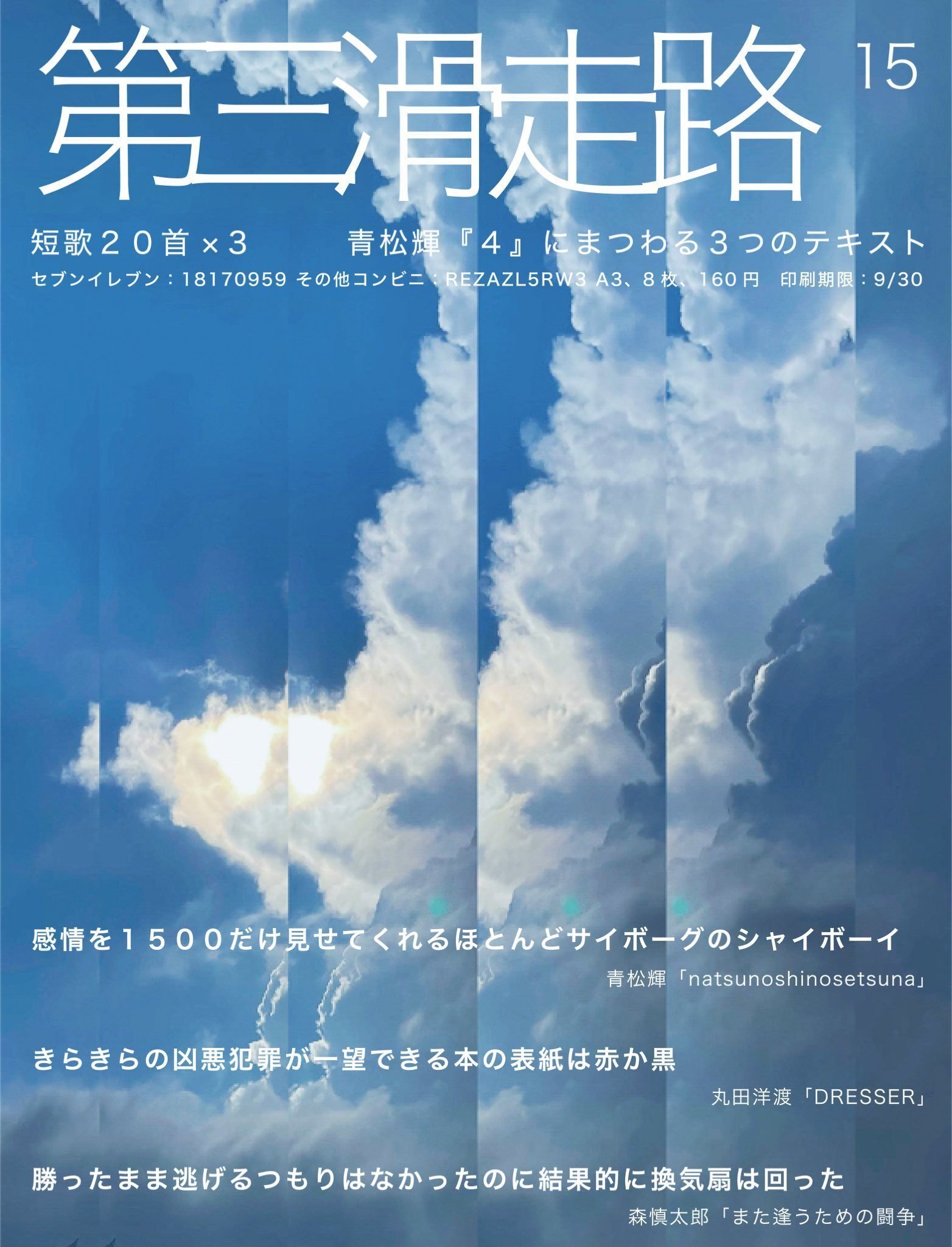 思わず撮っていた写真（日記）｜丸田洋渡