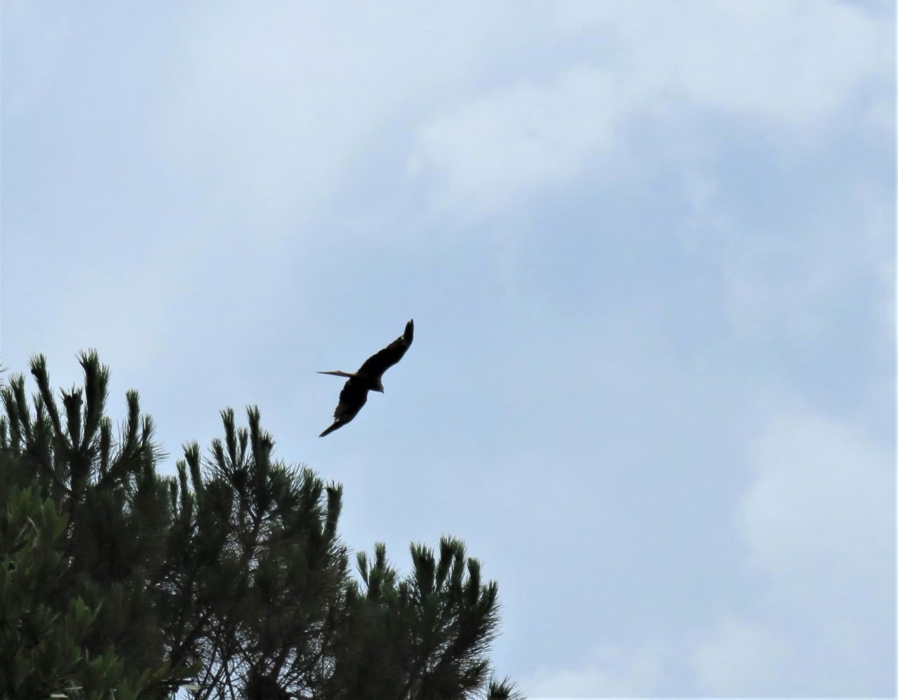 出会うべき時に出会えた本！D.H.ローレンスの「エトルリアの遺跡