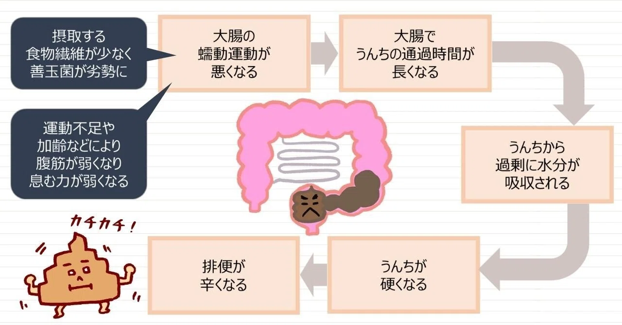 弛緩 性 便秘