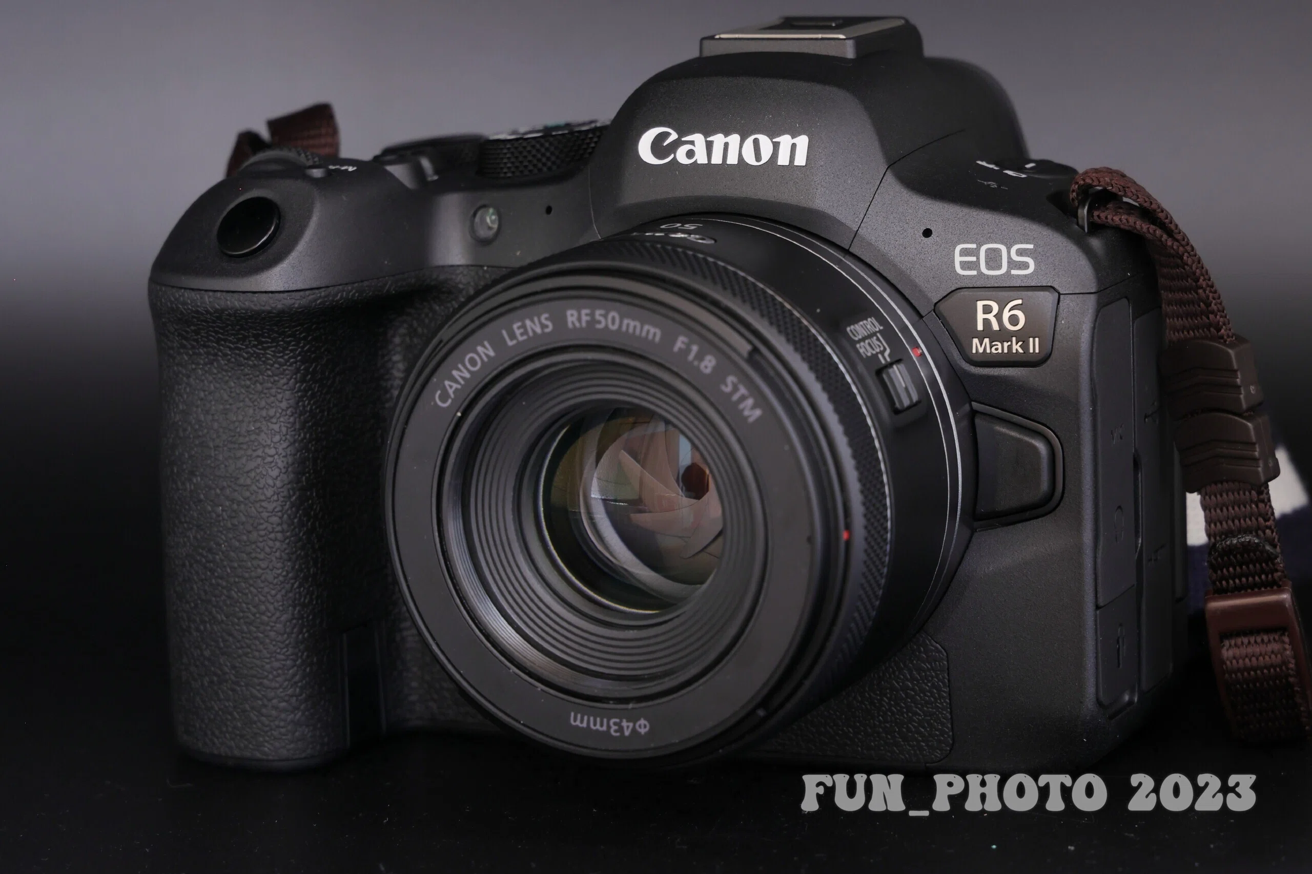 そりゃ、望遠のF2.8レンズは、高くて重くて負荷ばかりです。でもね