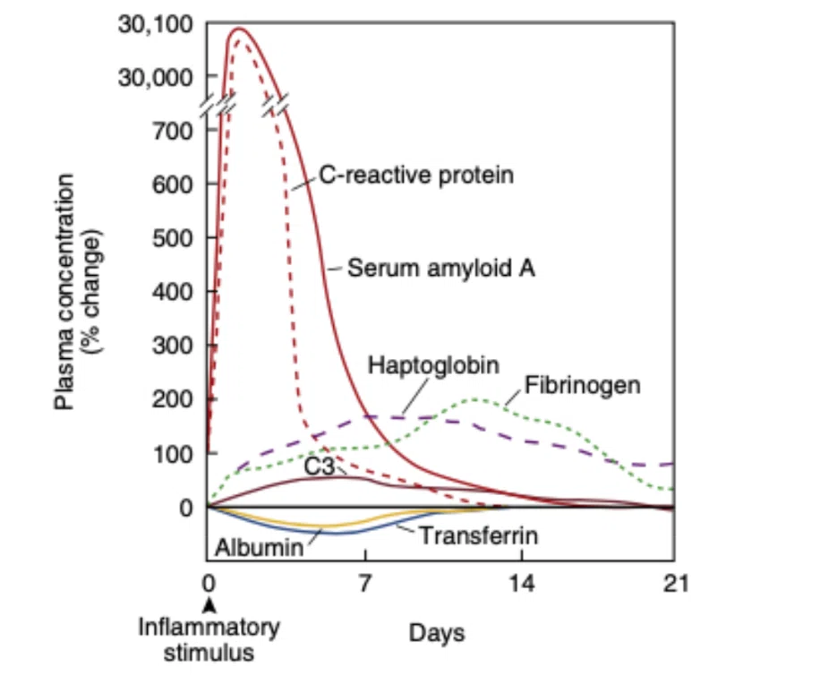 60 急性期反応物質 Acute Phase Reactants｜TAKENOUCHI M.D.