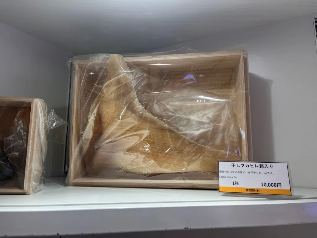 日本の野生生物取引: 不透明さと問題点｜認定NPO法人 野生生物保全論