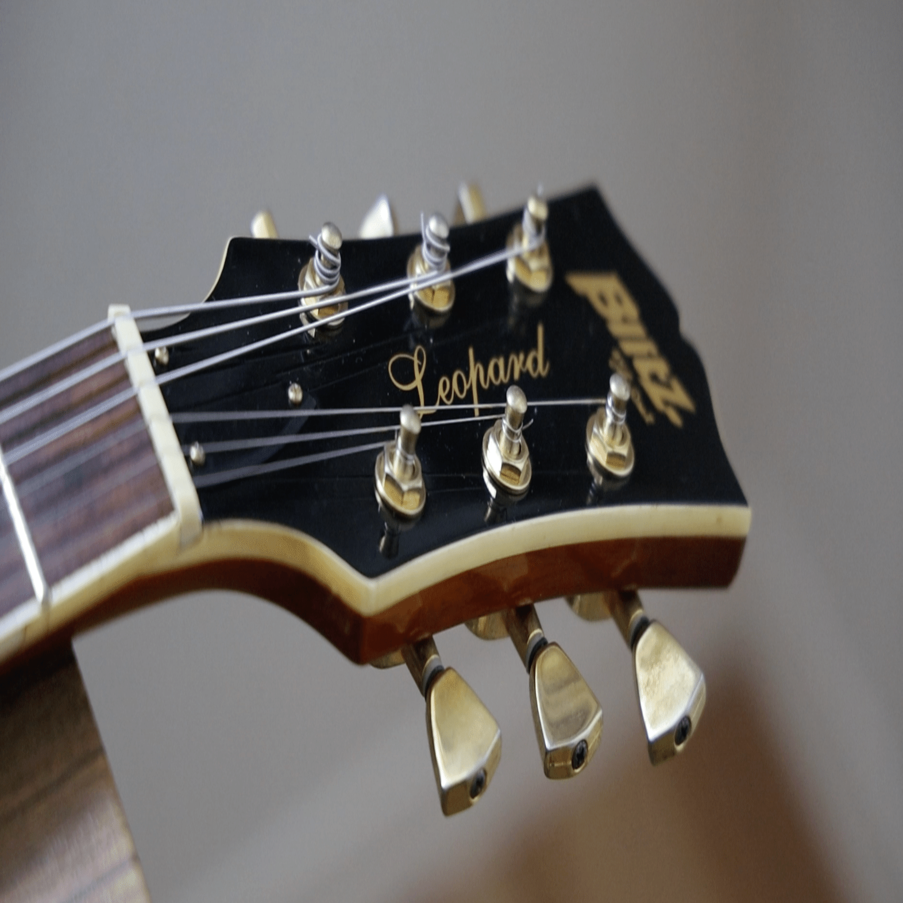 Blitz by Aria Pro II Leopard｜Croquetteギター機材研究