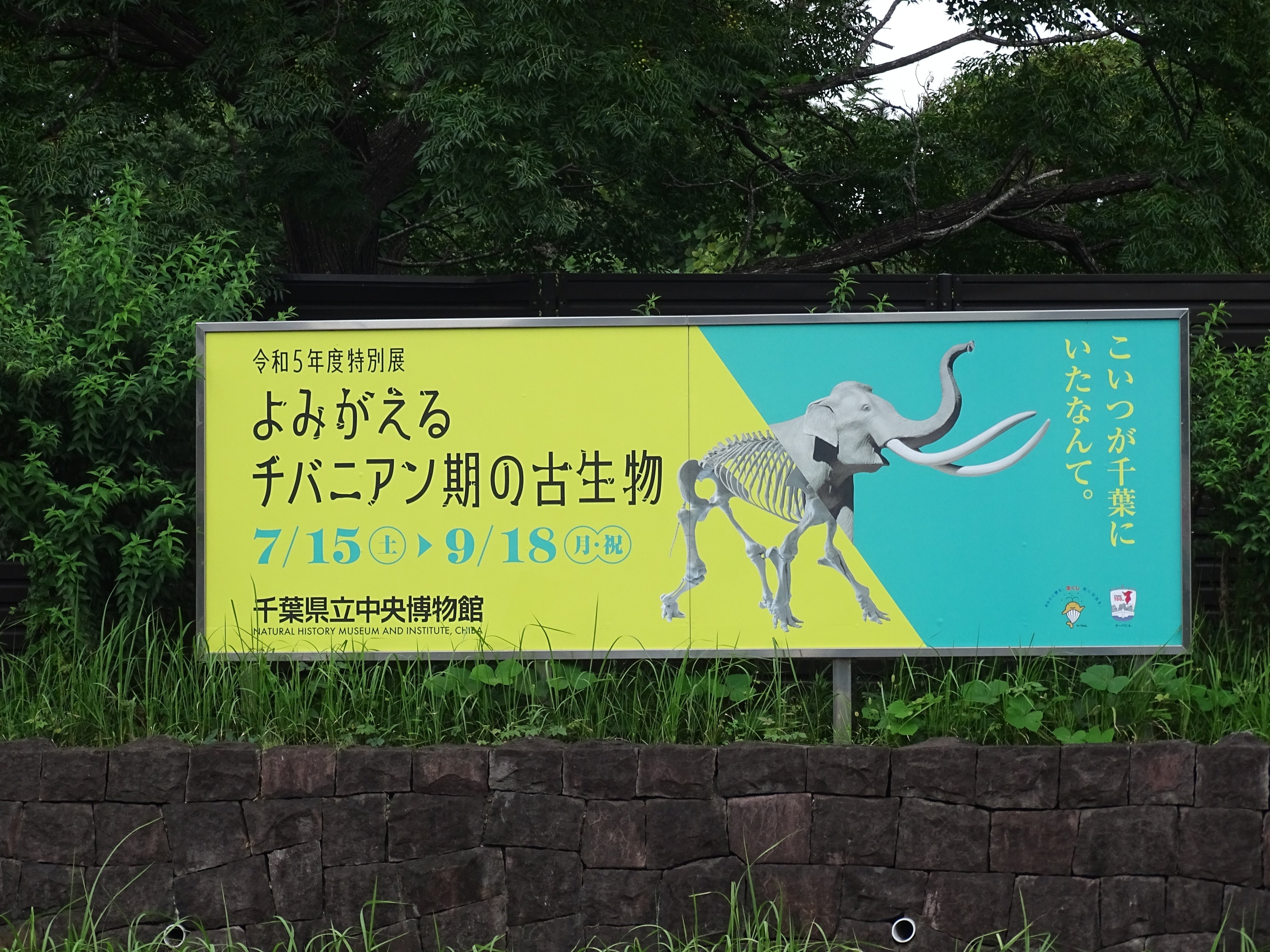 千葉県動物誌(千葉県生物学会 編) / 古本、中古本、古書籍の通販