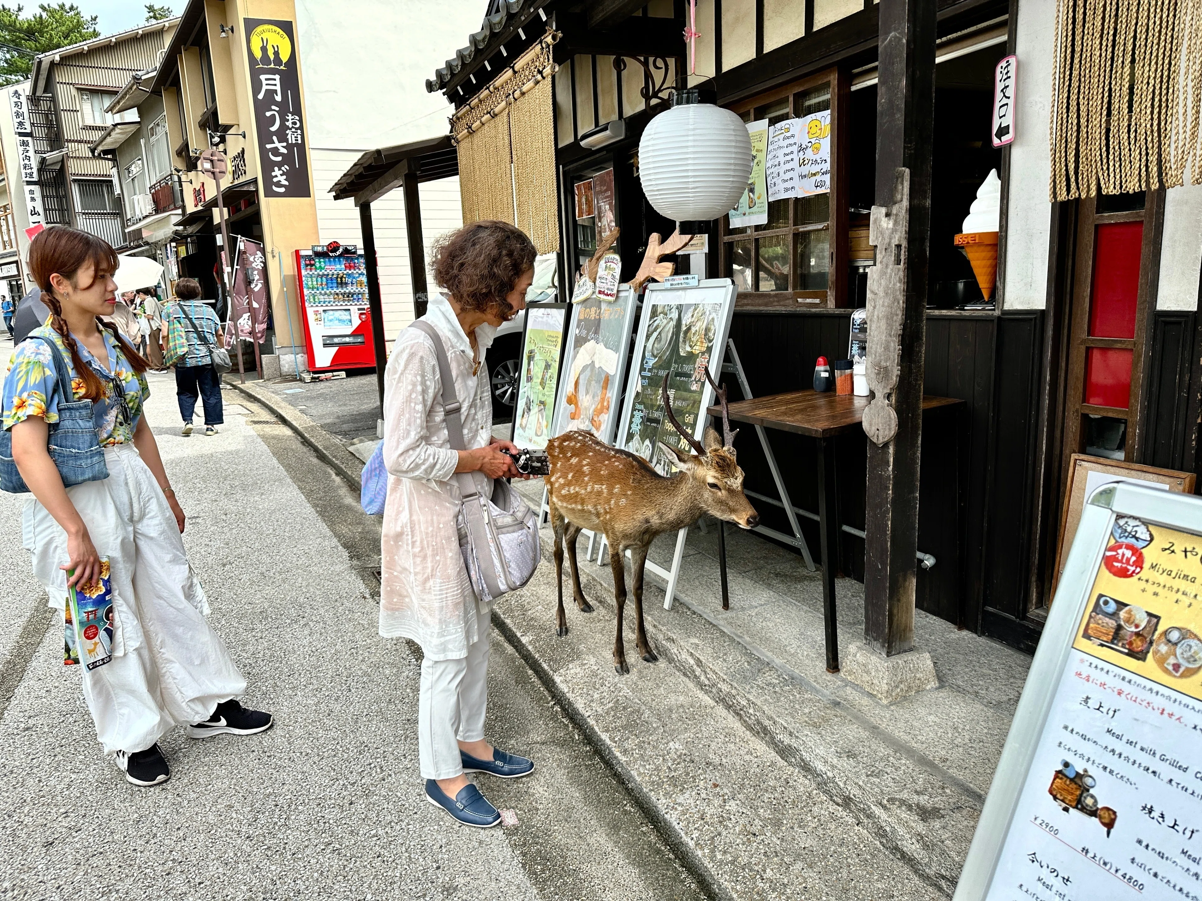 象牙＆イラスト in 宮島｜Someya_yumiko