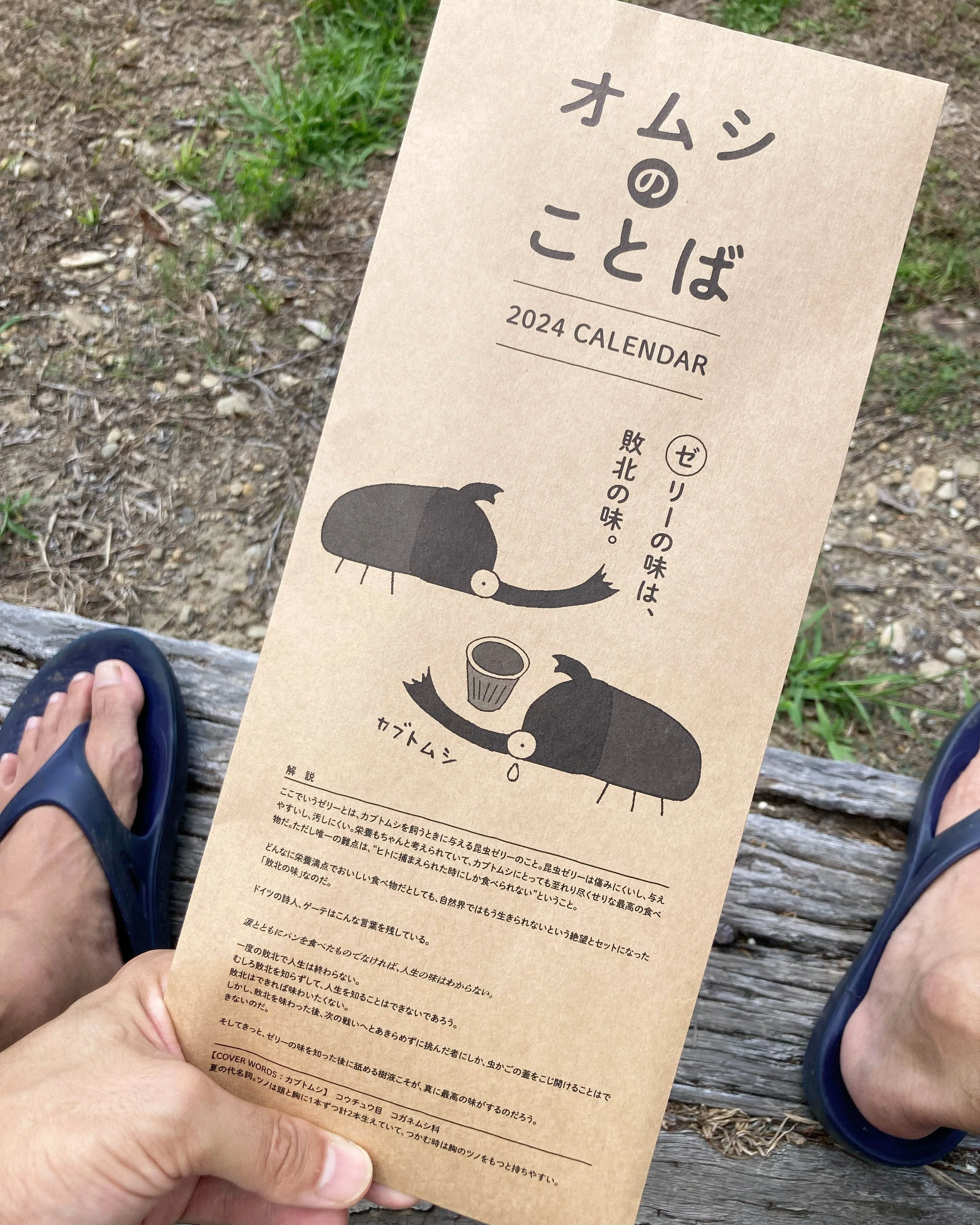昆虫名言カレンダー『オムシのことば』とは何なのか｜竜洋昆虫自然観察公園