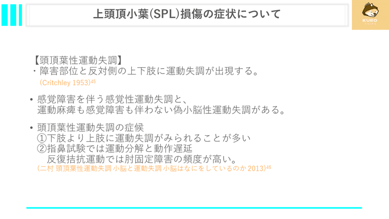 上縦束Ⅰ(SLFⅠ)について|くろ 作業療法士