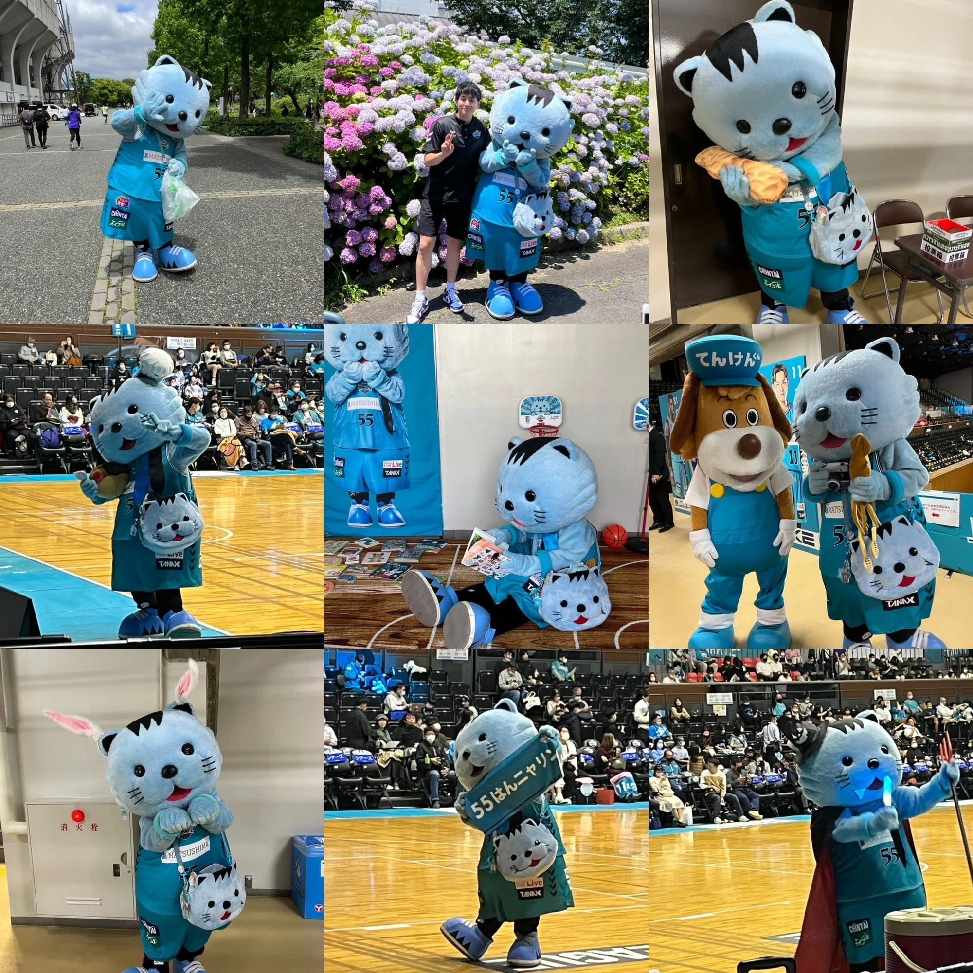23-24も共に、登る。】京都ハンナリーズのマスコット #55 はんニャリン 