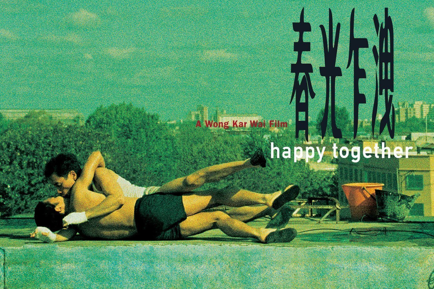 どこがHappy Togetherなんだよ…って思ってた映画