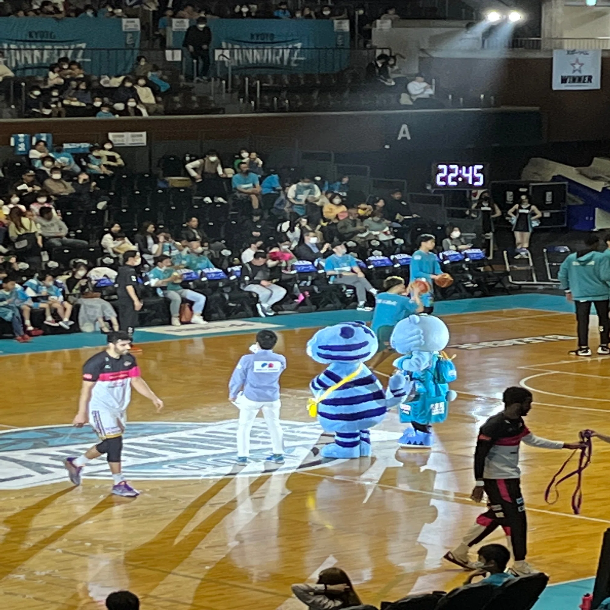 23-24も共に、登る。】京都ハンナリーズのマスコット #55 はんニャリン 