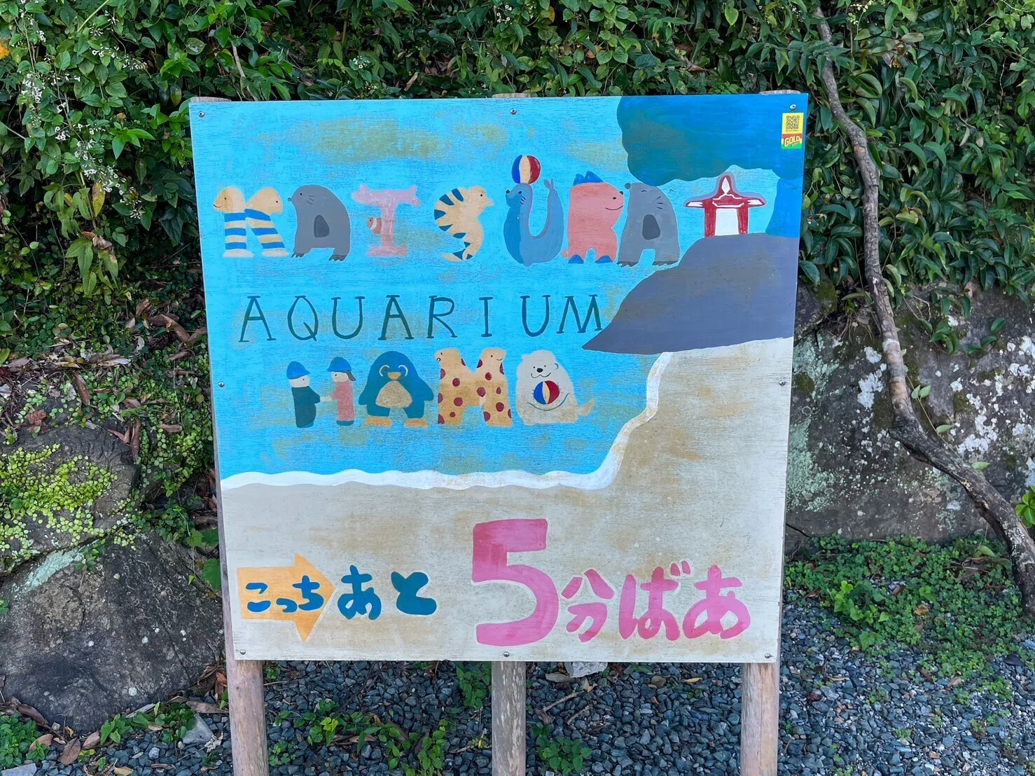 貝社員megu　看板6点 レポ#53 桂浜水族館｜haru