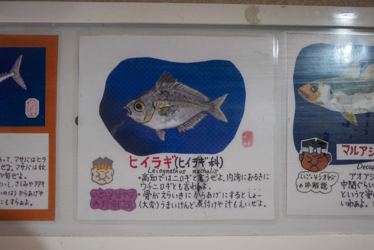レポ#53 桂浜水族館｜haru