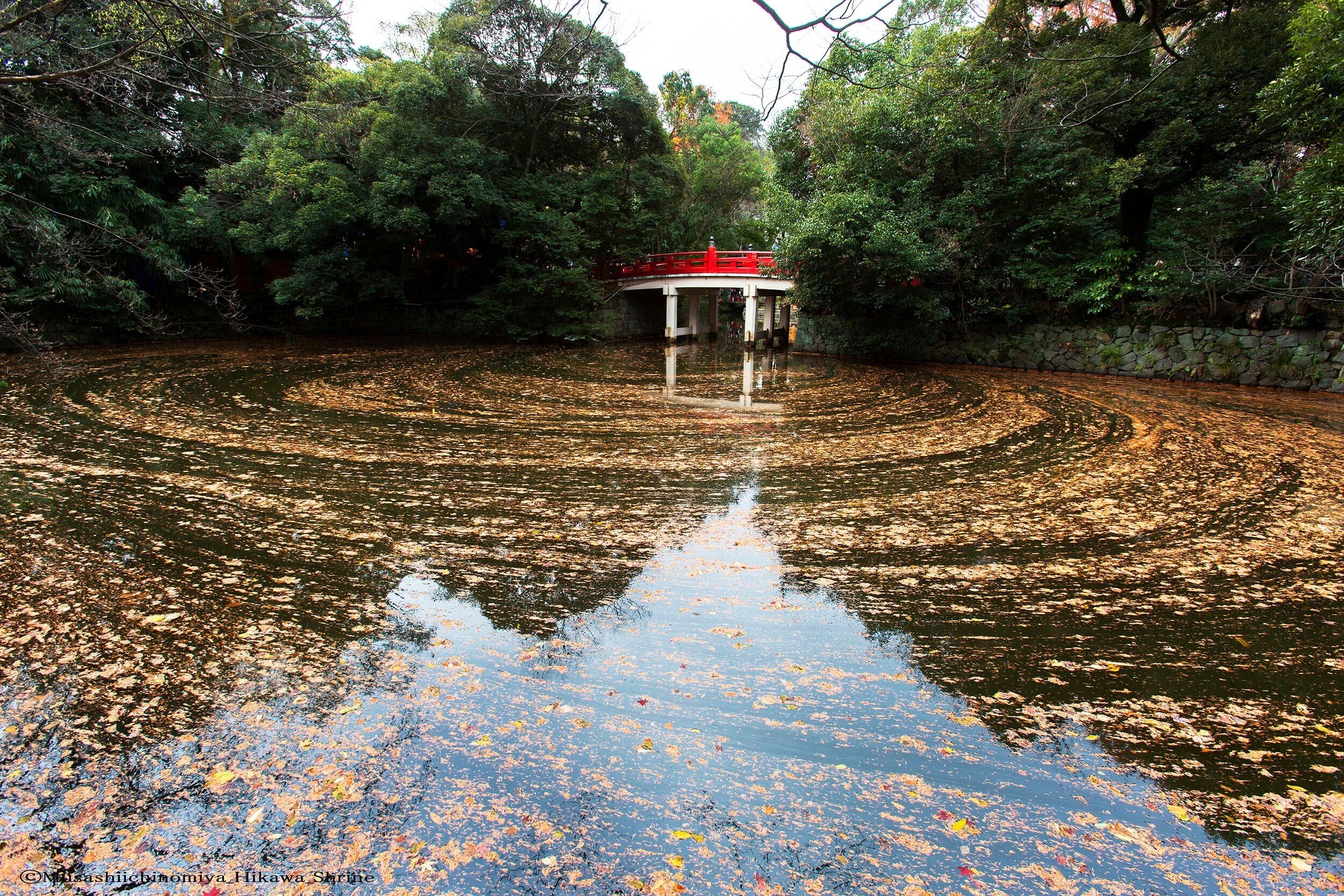 第173回～「スサノオノミコトと鉄の話」｜武蔵一宮 氷川神社