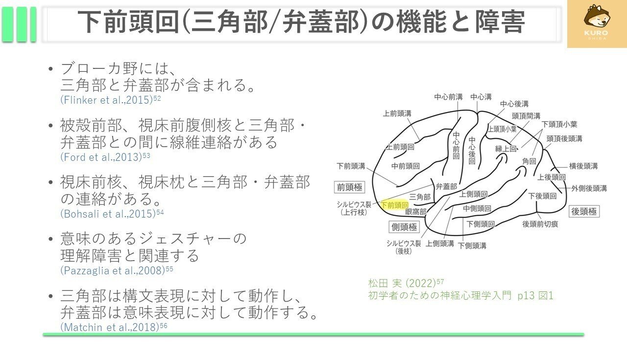機能解剖で斬る 神経系疾患 [第2版] 機能解剖で斬る 神経系疾患 [第2版] | 中野 隆(編著) |本 | 通販