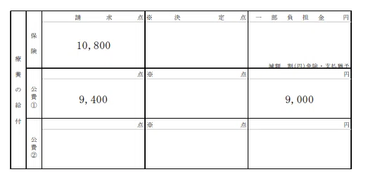 28公費併用 レセプト記載 : 請求書・明細書の記載方法の注意点 – XQUIAF