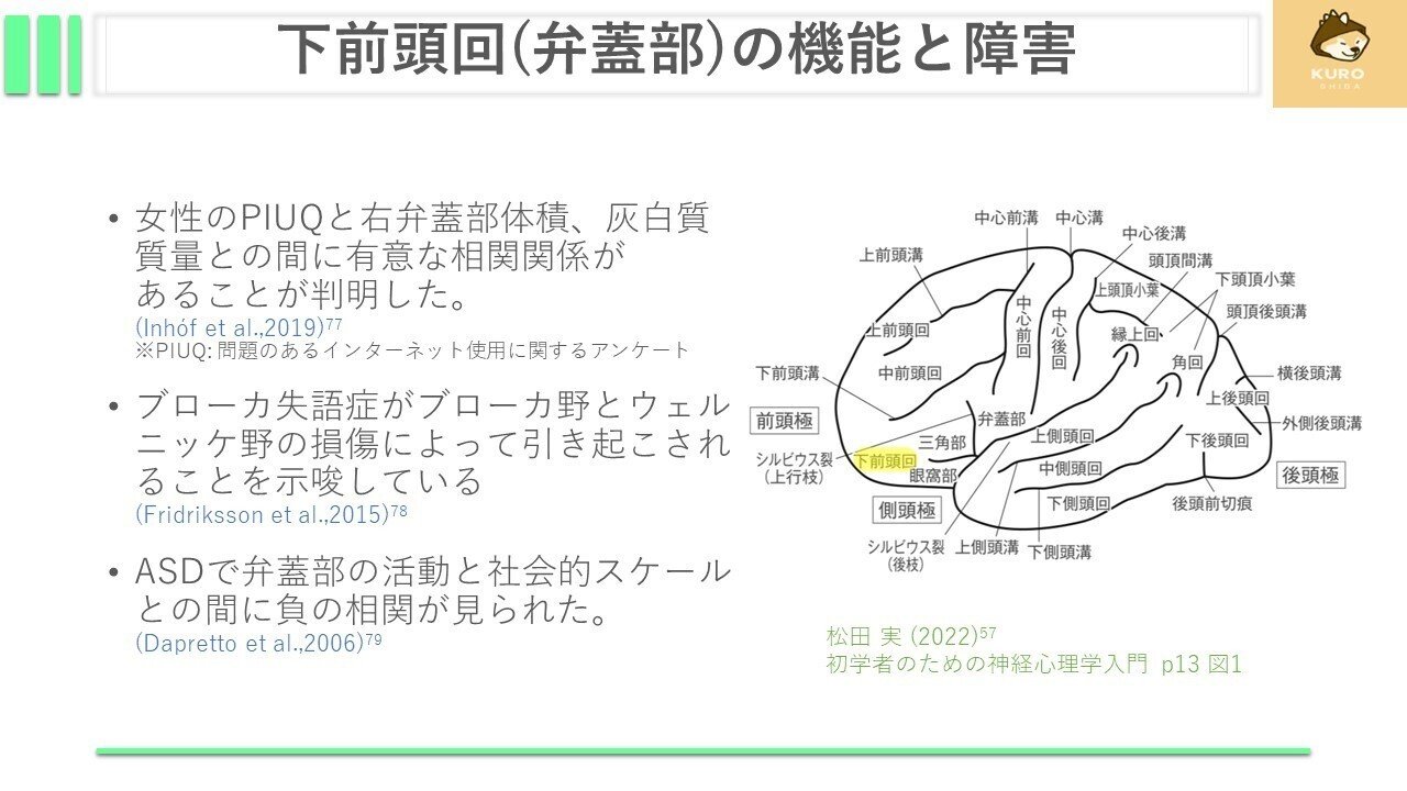 Amazon.co.jp: 脳損傷対象者に対する上肢機能アプローチ―障害像