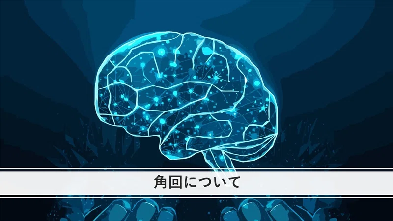 上縦束Ⅱについて|くろ 作業療法士