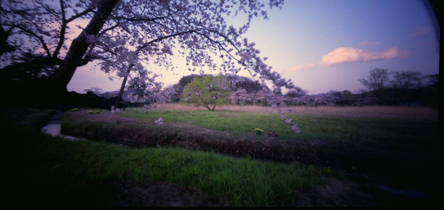 HOLGA-120WPC ピンホールカメラ HOLGA 120WPC パノラマピンホールカメラ - フォトグラフィック