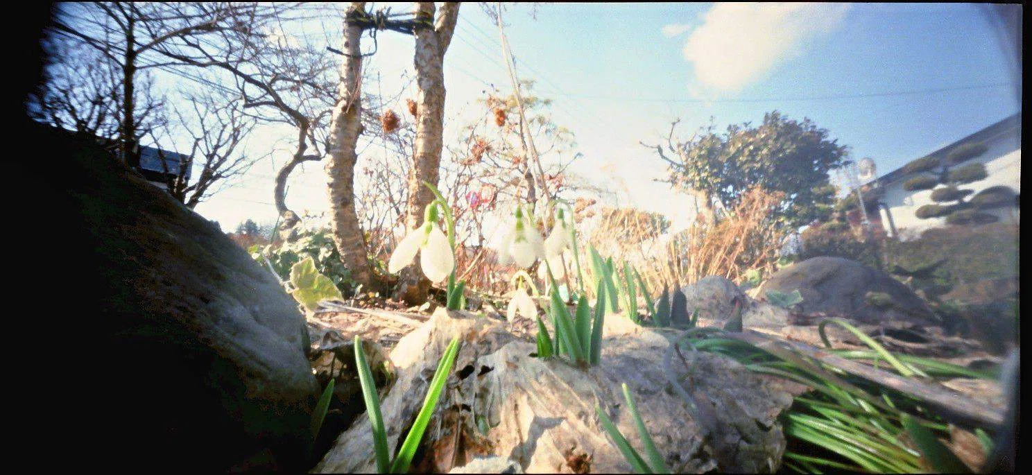 中判ピンホールカメラ（HOLGA-120WPC）｜歩きまわる写真館・ひらい