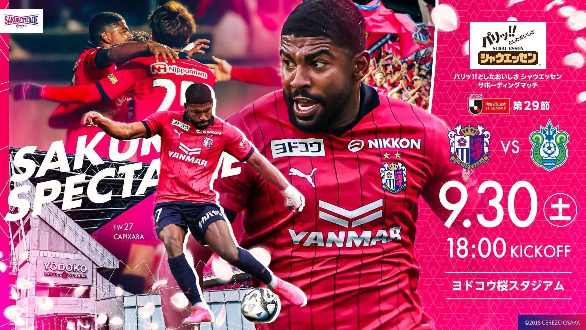 ⚽【セレッソ大阪 vs 湘南ベルマーレ】 2023 J1リーグ第29節（ヨドコウ