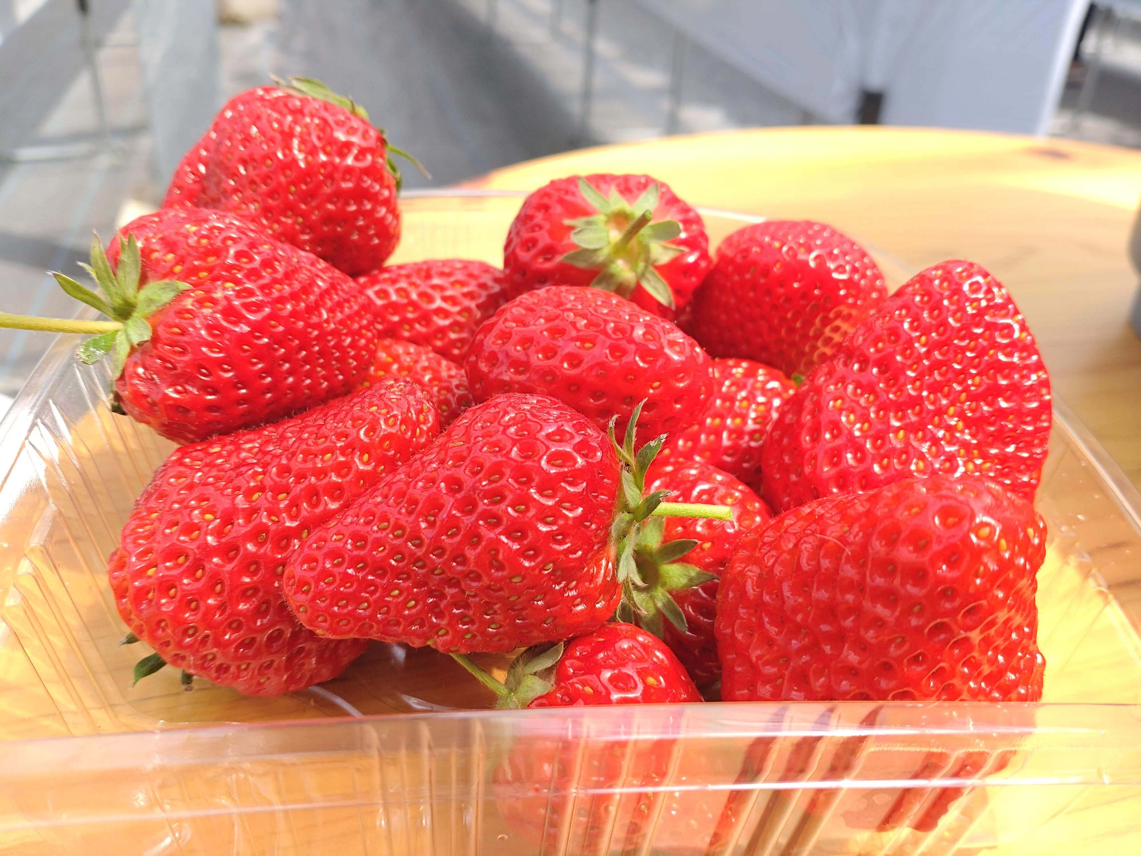 川崎市多摩区生田】いちごづくしの30分！毎年違う品種で飽きない