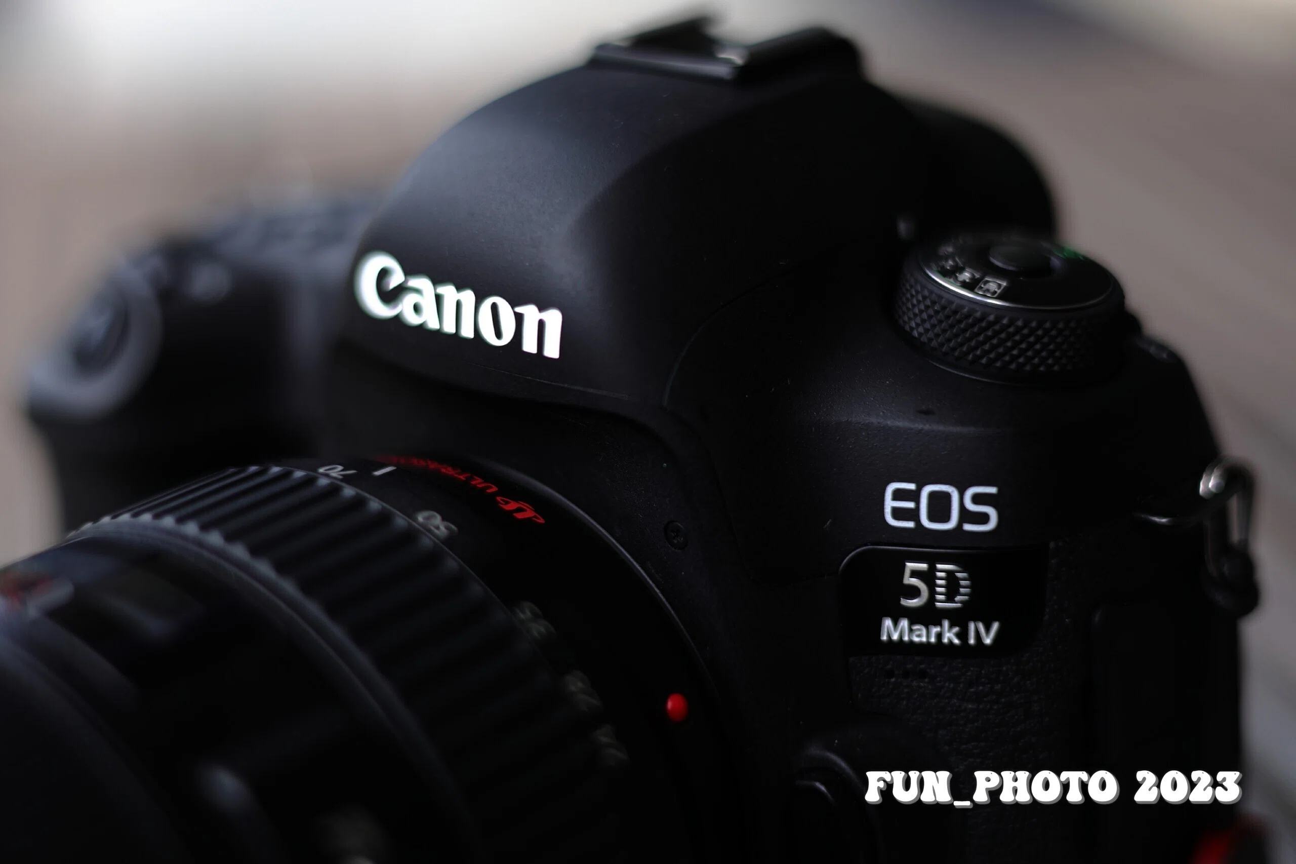 SIGMA 70mm F2.8 DG MACRO 出番は少ないが、あると楽しい。｜fun_photo