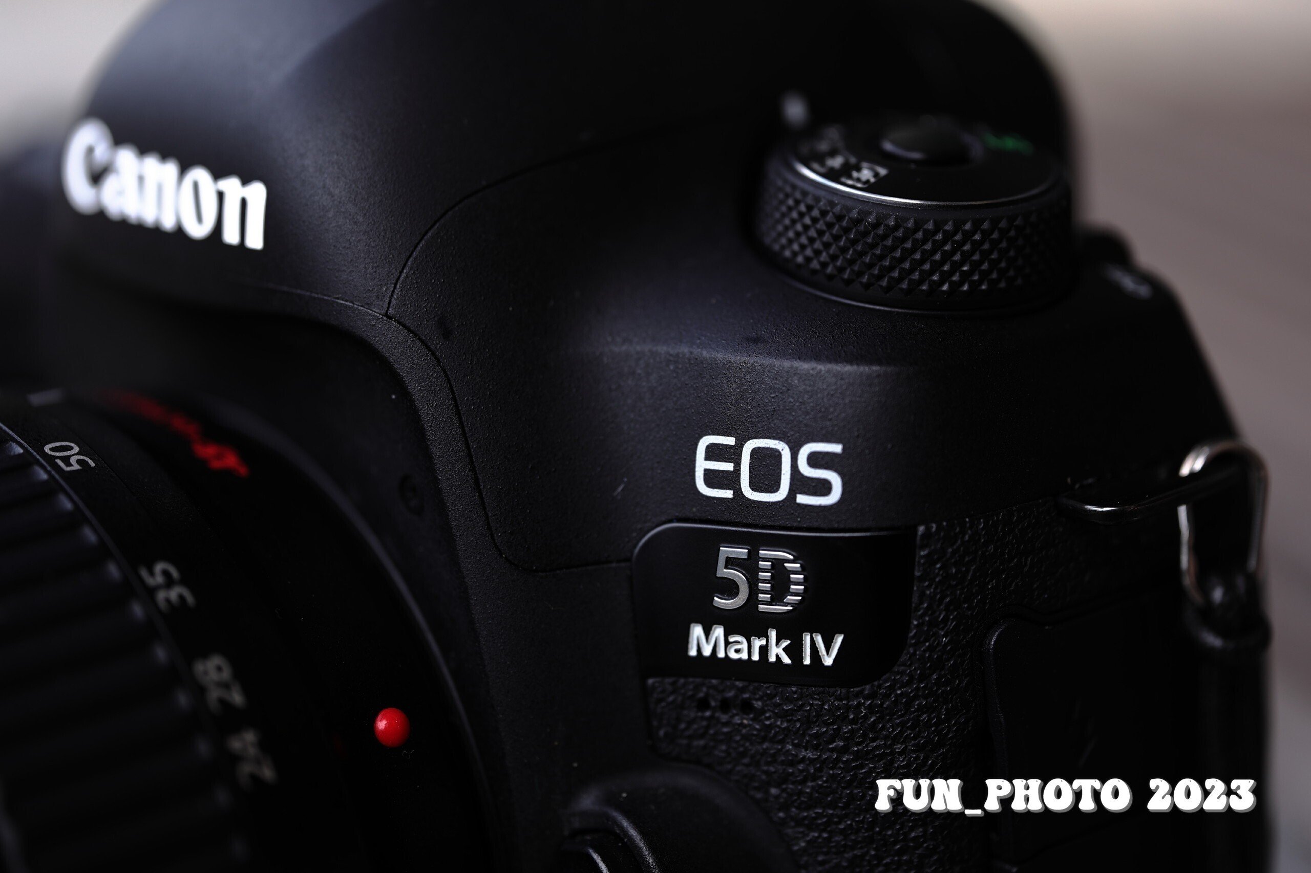 SIGMA 70mm F2.8 DG MACRO 出番は少ないが、あると楽しい。｜fun_photo