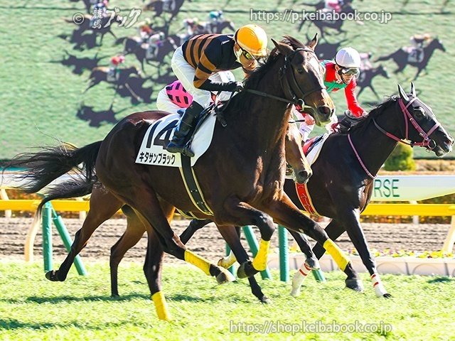 始まりました！ウマ娘3期！｜競馬ブック