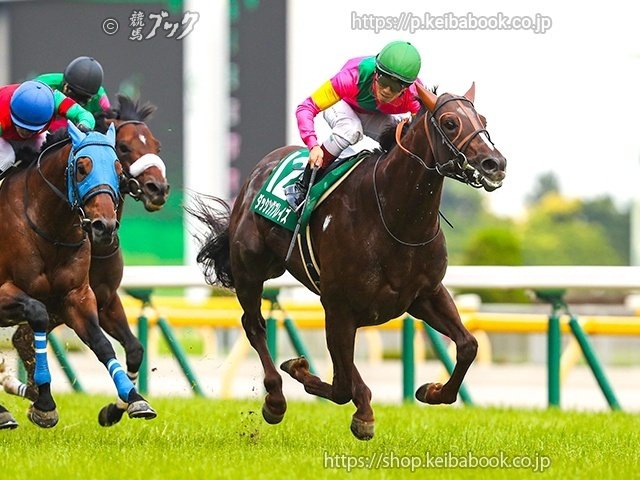 始まりました！ウマ娘3期！｜競馬ブック