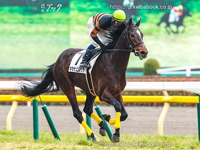 始まりました！ウマ娘3期！｜競馬ブック