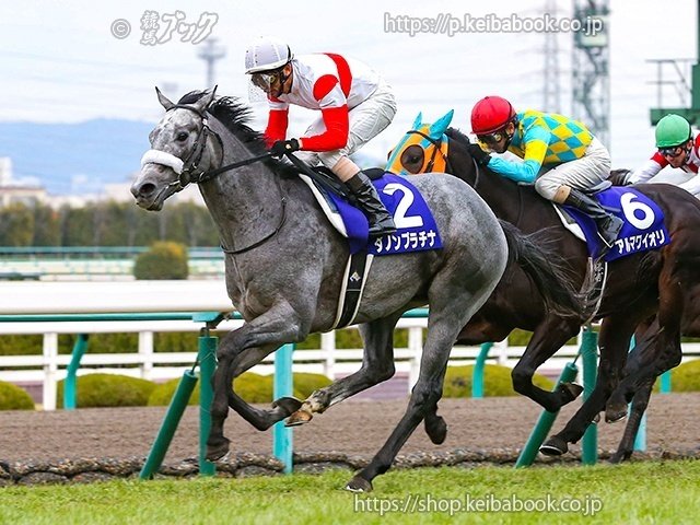 スキル＆クロワ・キタサンブラック継承ヒストリー クロワデュノールは東スポ杯2歳Sへ！新馬戦好時計Vのキタサン