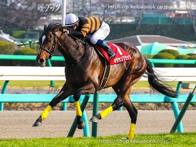 い出のひと時に、とびきりのおしゃれを！ 始まりました！ウマ娘3期！｜競馬ブック その他