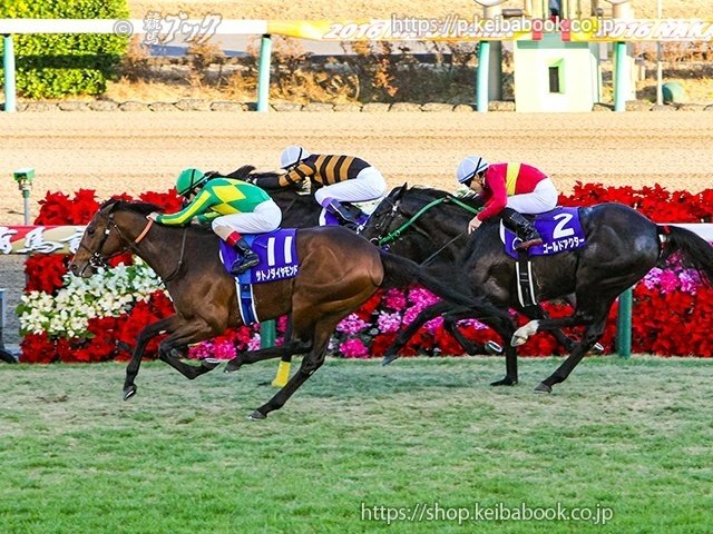 始まりました！ウマ娘3期！｜競馬ブック
