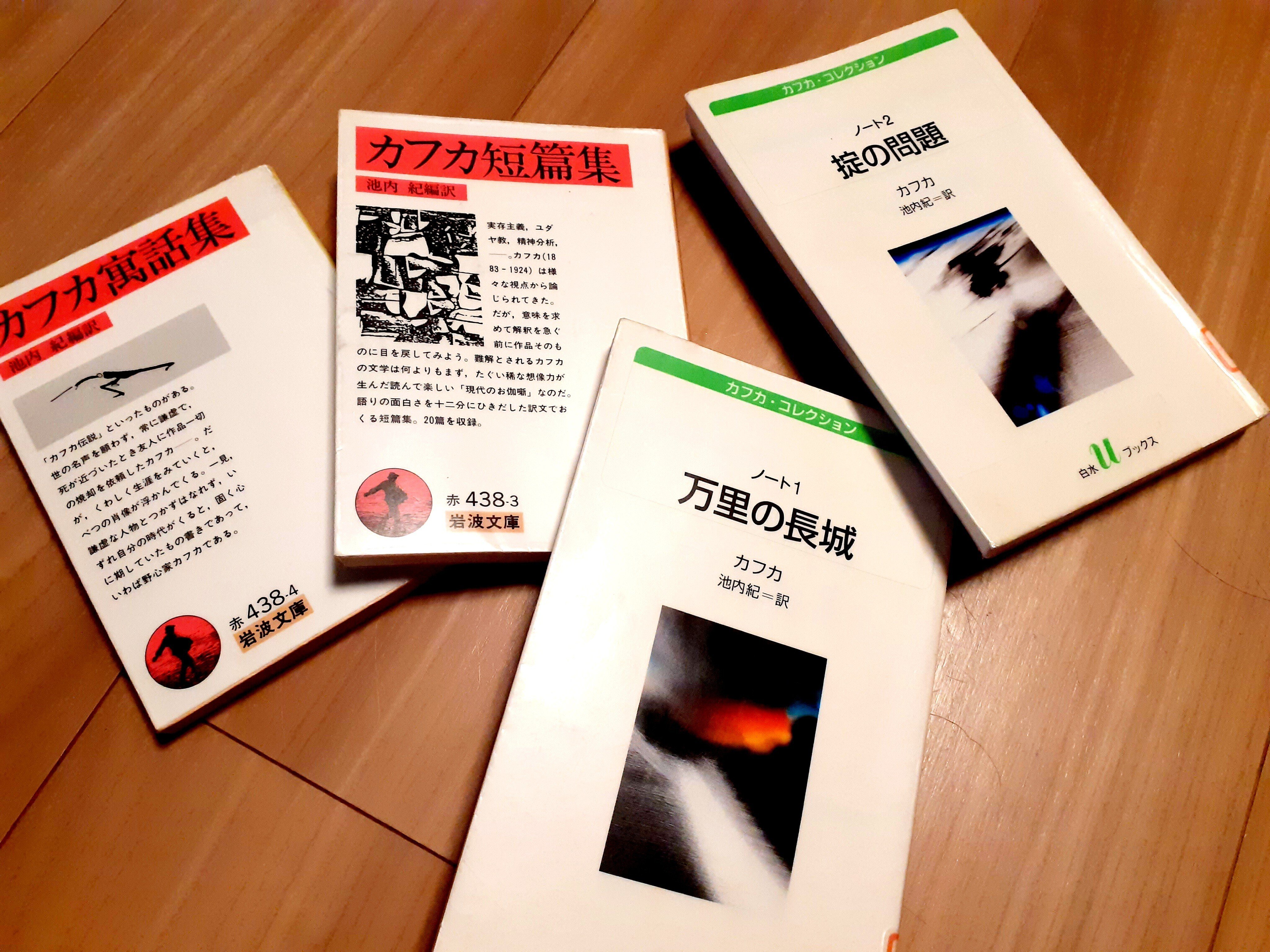 9 カフカ短編『中年のひとり者ブルームフェルト』｜narco