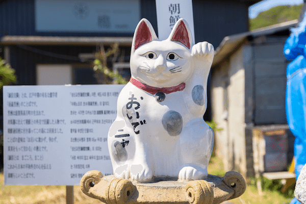 世界屈指の猫アイランドへ潜入！―福岡・相島の魅力をお届け―｜ヤマト