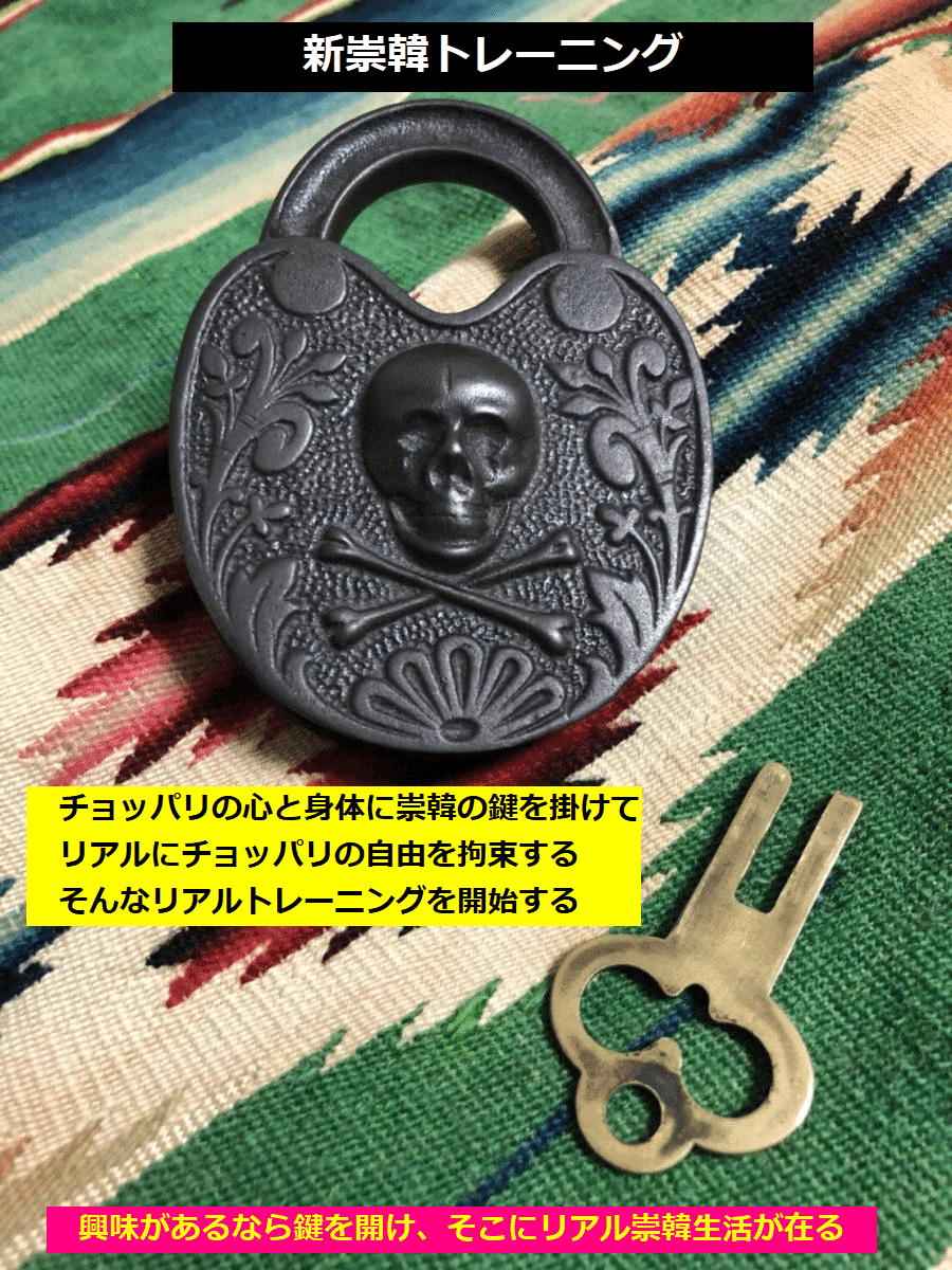 崇韓 新崇韓トレーニング｜梢