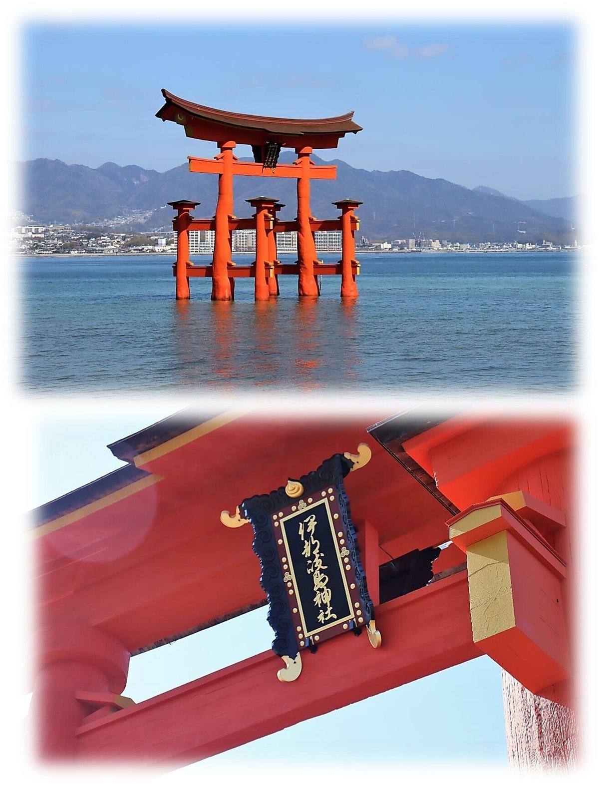 厳島神社 猪口☆安芸 鳥居 宮島 盃 杯 酒器 晩酌 寝苦しい 世界遺産  