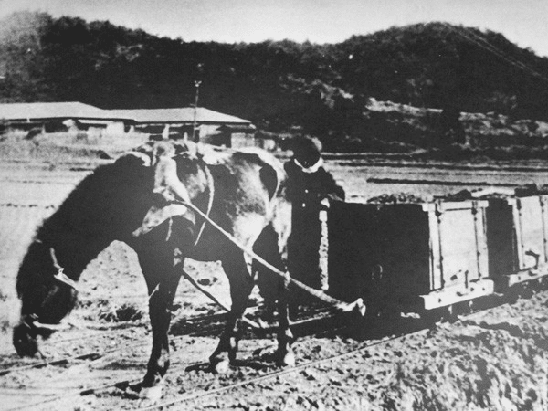 松浦鉄道・神田駅 ～ 馬たちが送炭トロッコを曳いていた軌道｜江島
