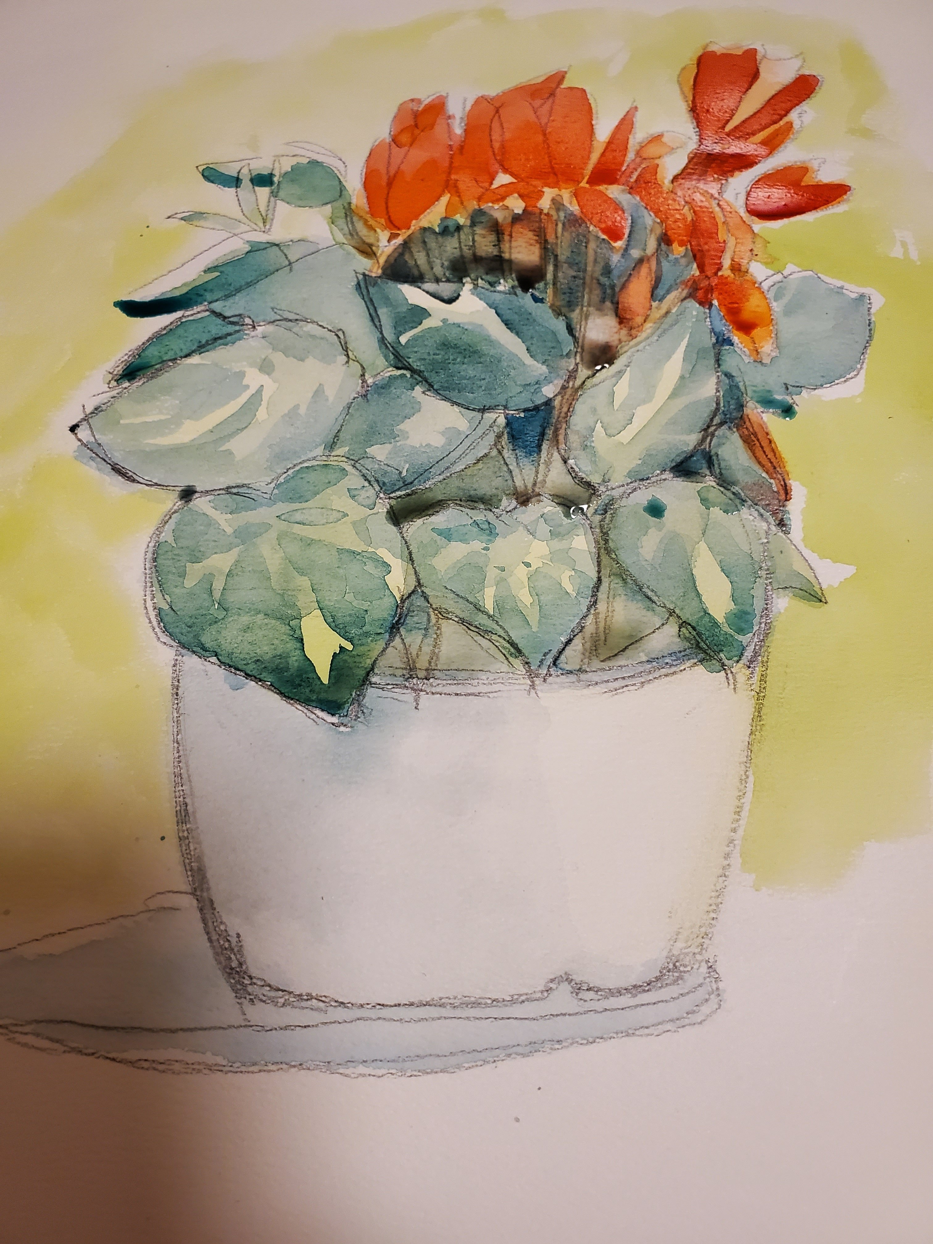 風景スケッチ③鉢植えシクラメン②｜二本柳亜美