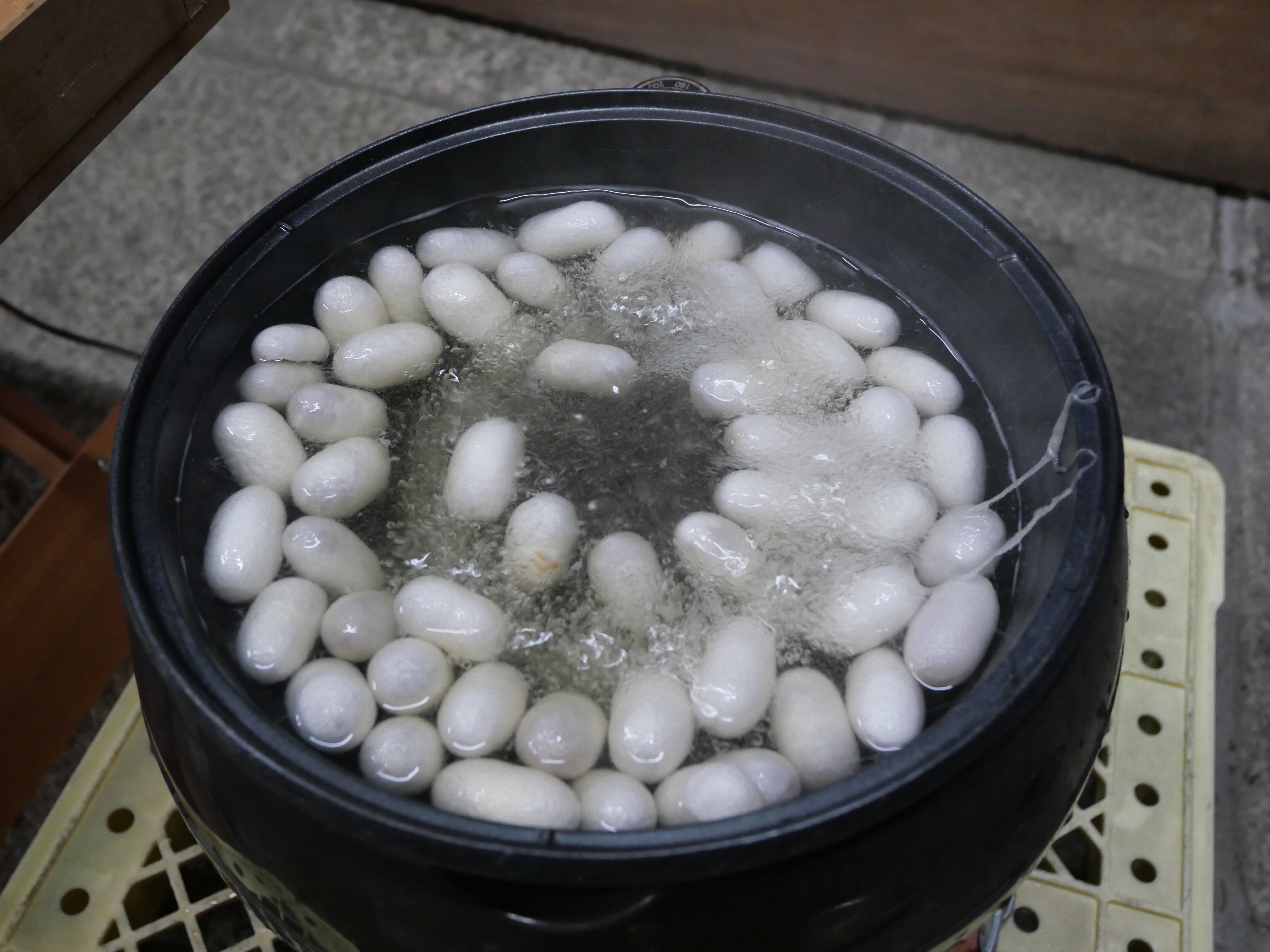 座繰りを体験する｜zooo